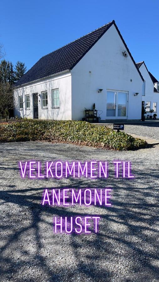 Anemone Huset Lejlighed Vorbasse Eksteriør billede
